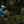 Carica l'immagine nel Visualizzatore galleria, TREKKING ELITE SHORT