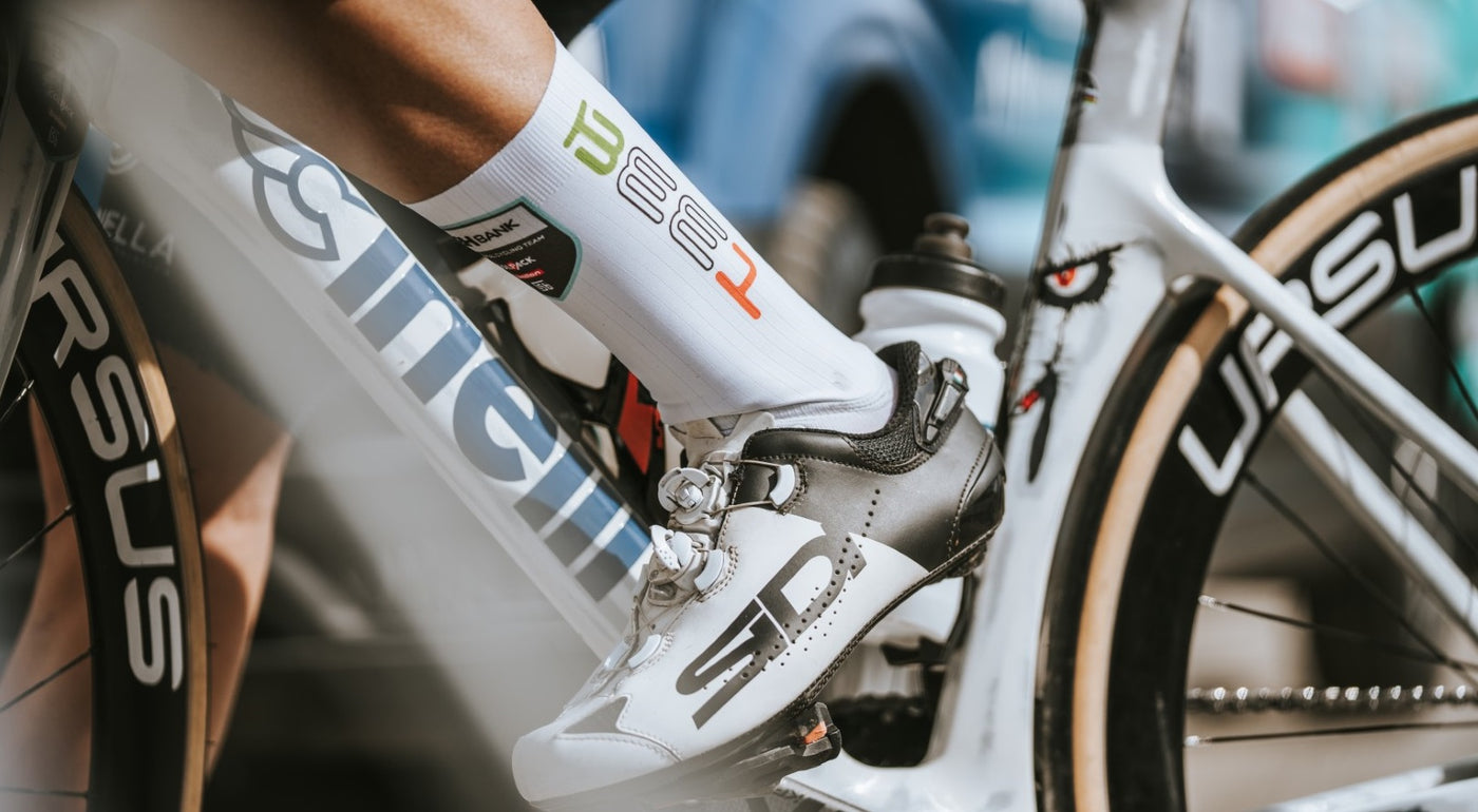 bee1 socks